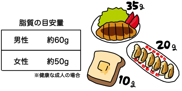 1 日 の 脂質 摂取 量